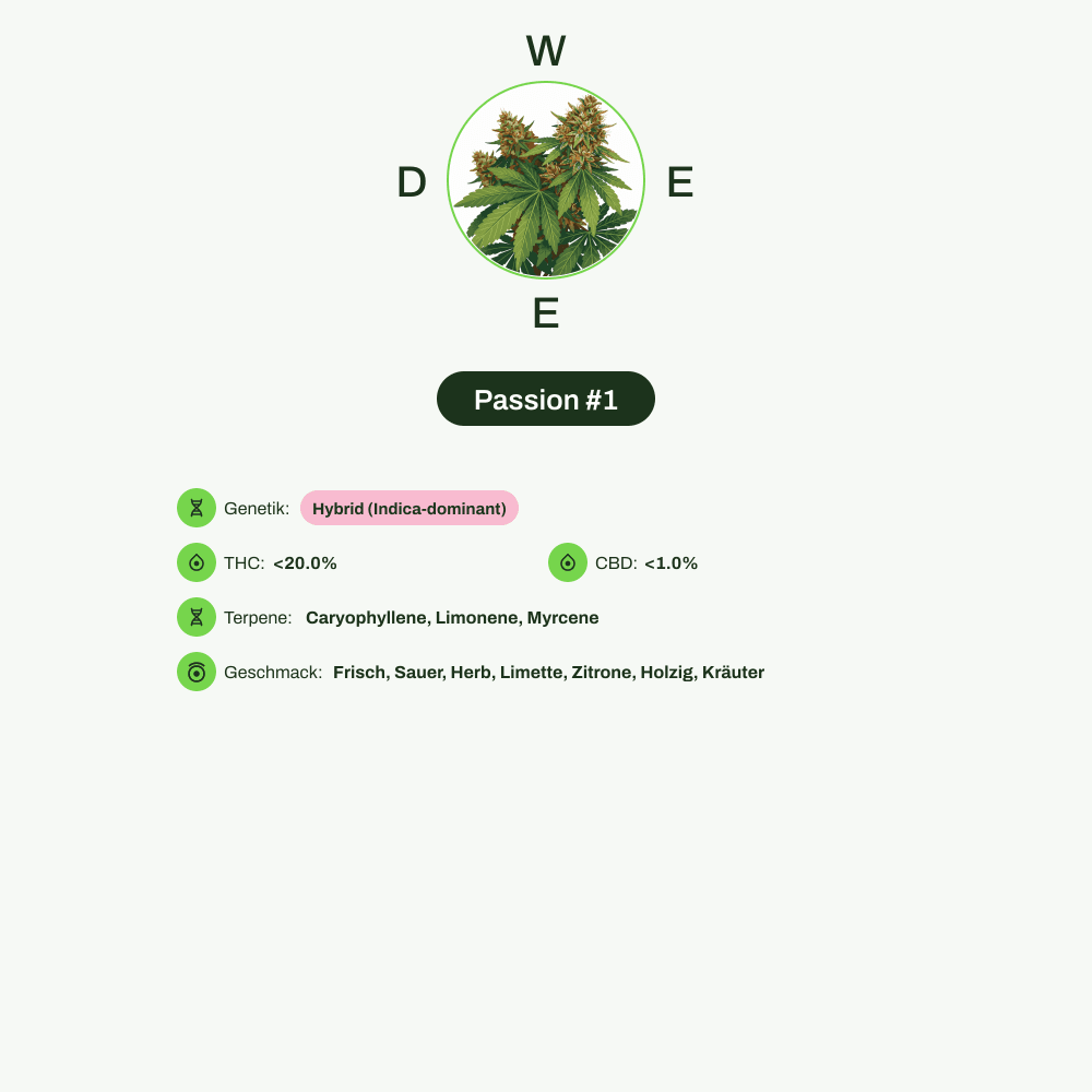 Infografik über THC-Gehalt, CBD-Gehalt, Terpene, Wirkungen, Geschmack von Passion #1