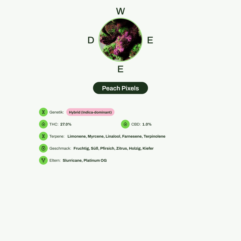 Infografik über THC-Gehalt, CBD-Gehalt, Terpene, Wirkungen, Geschmack von Peach Pixels