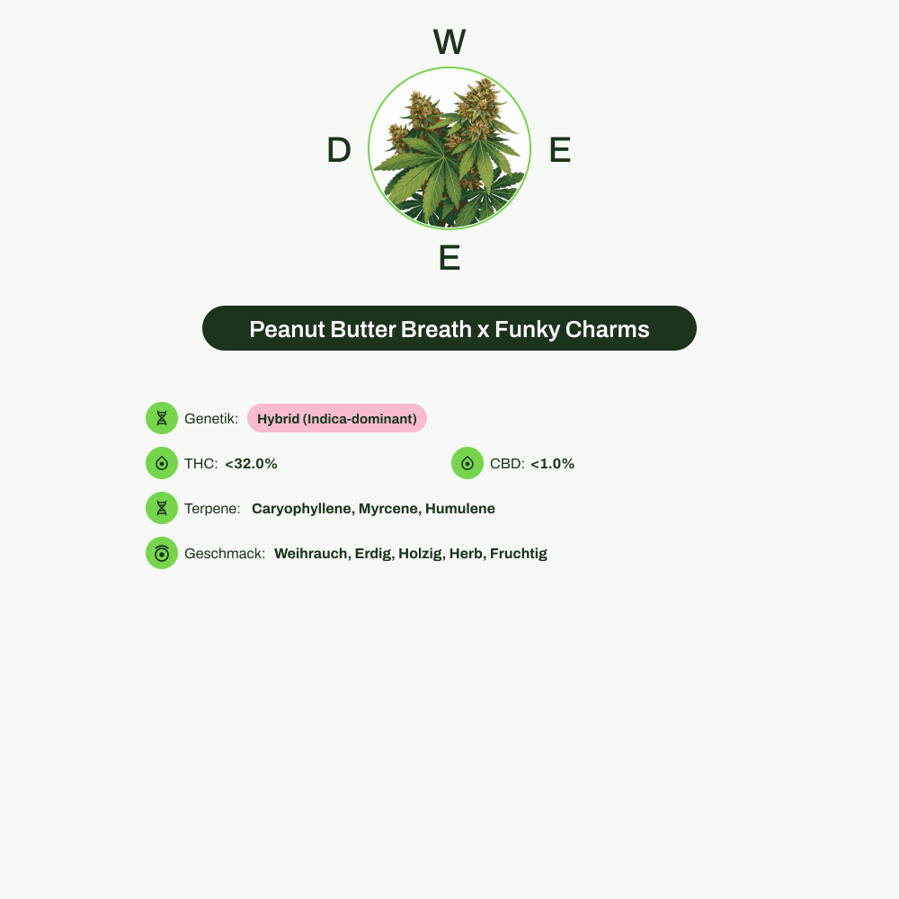 Infografik über THC-Gehalt, CBD-Gehalt, Terpene, Wirkungen, Geschmack von Peanut Butter Breath x Funky Charms