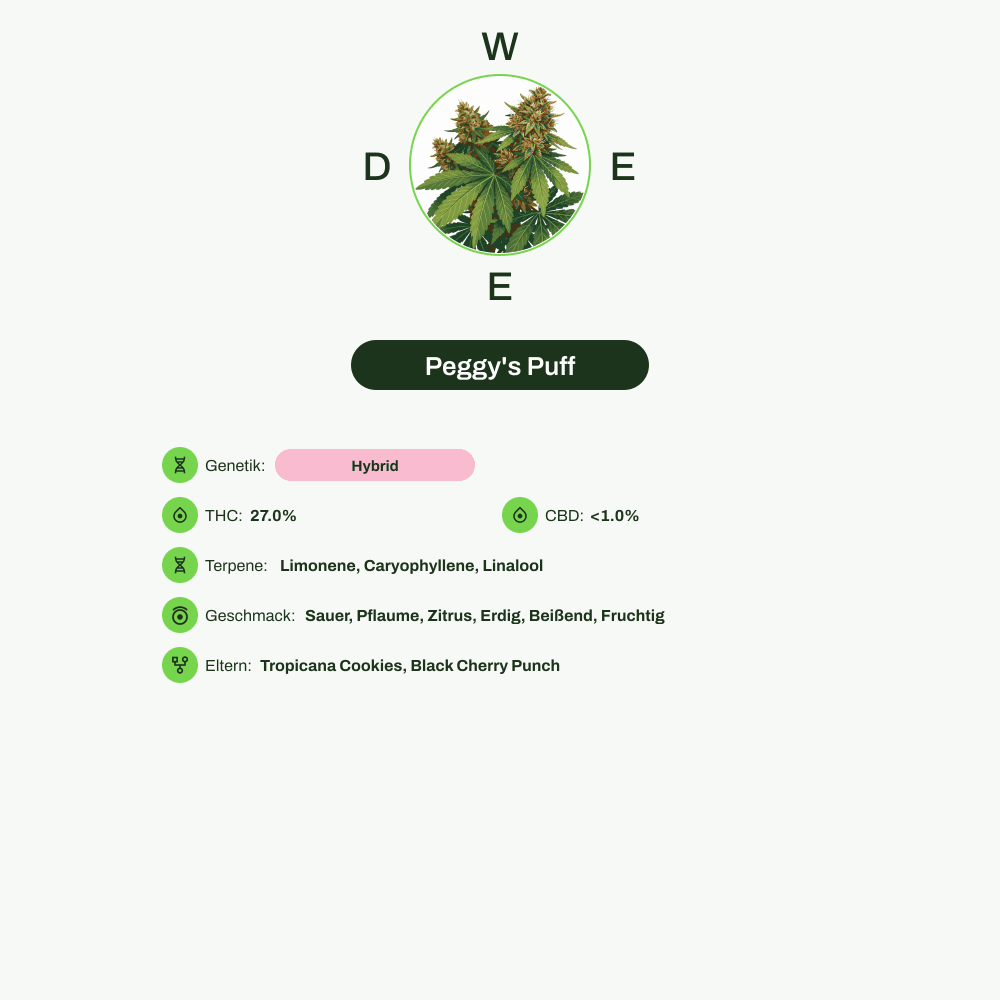 Infografik über THC-Gehalt, CBD-Gehalt, Terpene, Wirkungen, Geschmack von Peggy's Puff