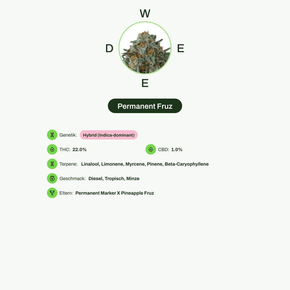 Infografik über THC-Gehalt, CBD-Gehalt, Terpene, Wirkungen, Geschmack von Permanent Fruz