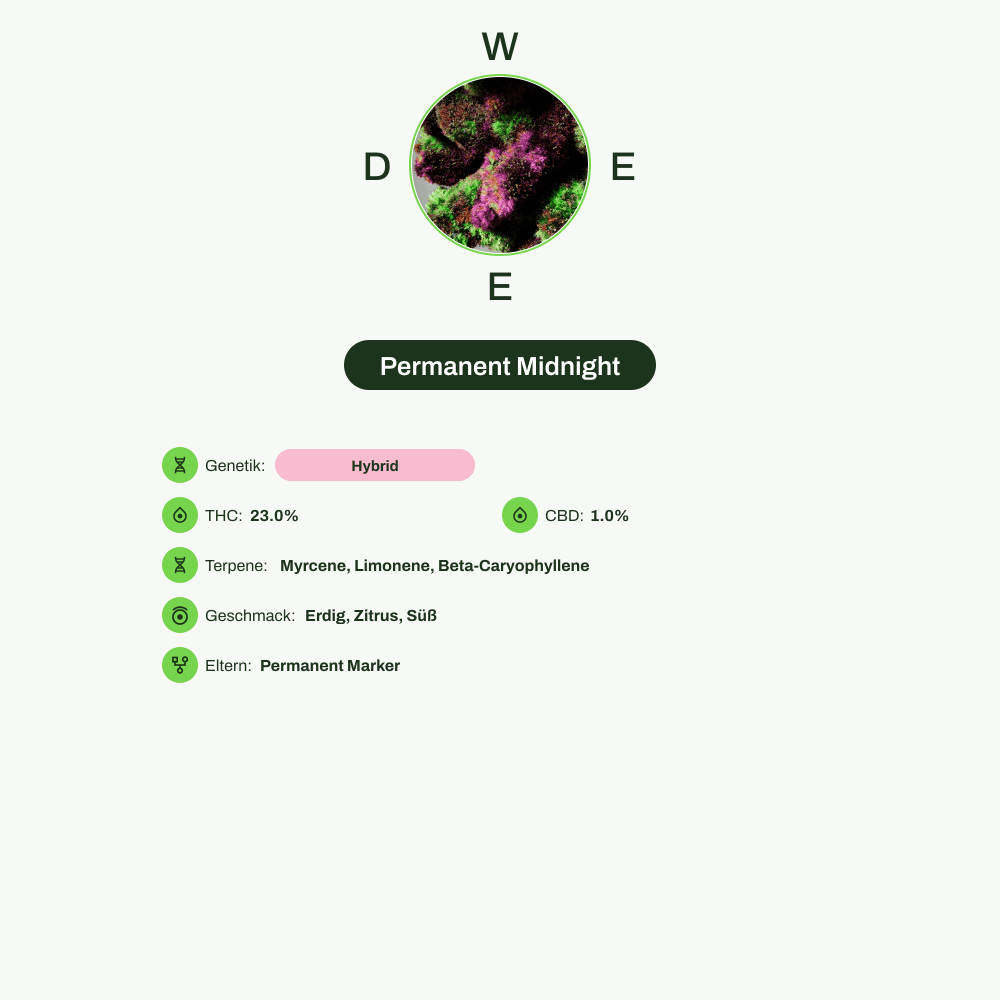Infografik über THC-Gehalt, CBD-Gehalt, Terpene, Wirkungen, Geschmack von Permanent Midnight