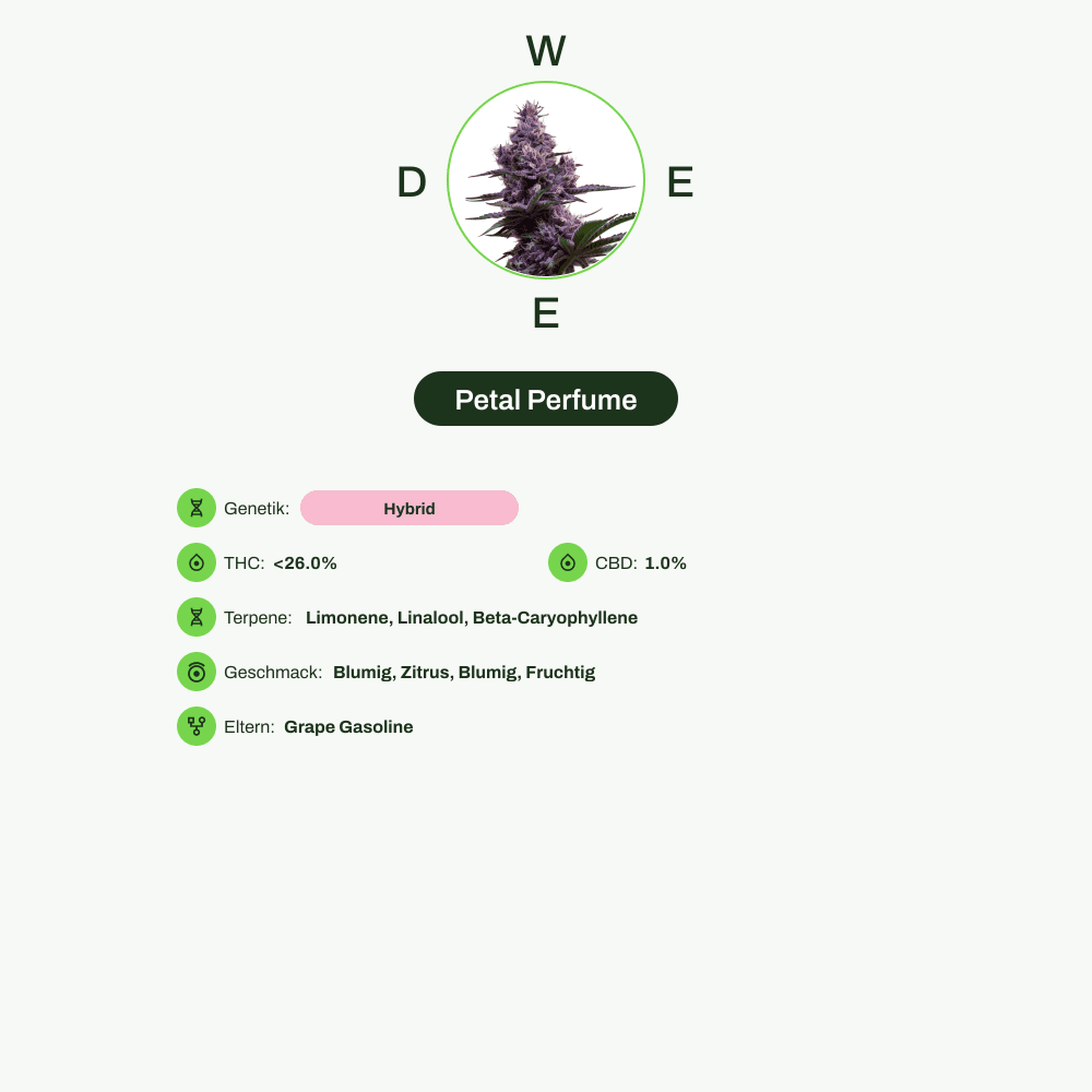 Infografik über THC-Gehalt, CBD-Gehalt, Terpene, Wirkungen, Geschmack von Petal Perfume