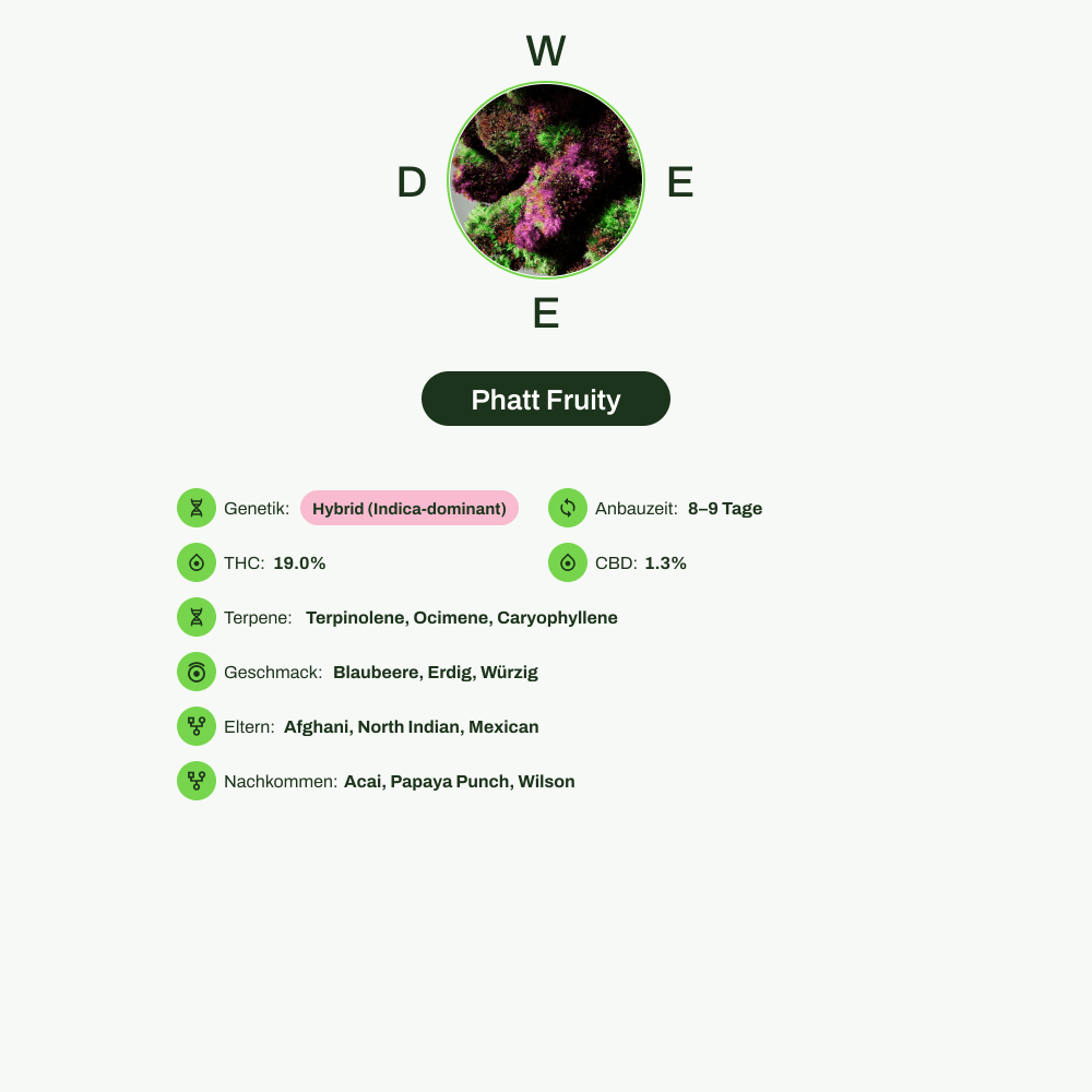 Infografik über THC-Gehalt, CBD-Gehalt, Terpene, Wirkungen, Geschmack von Phatt Fruity