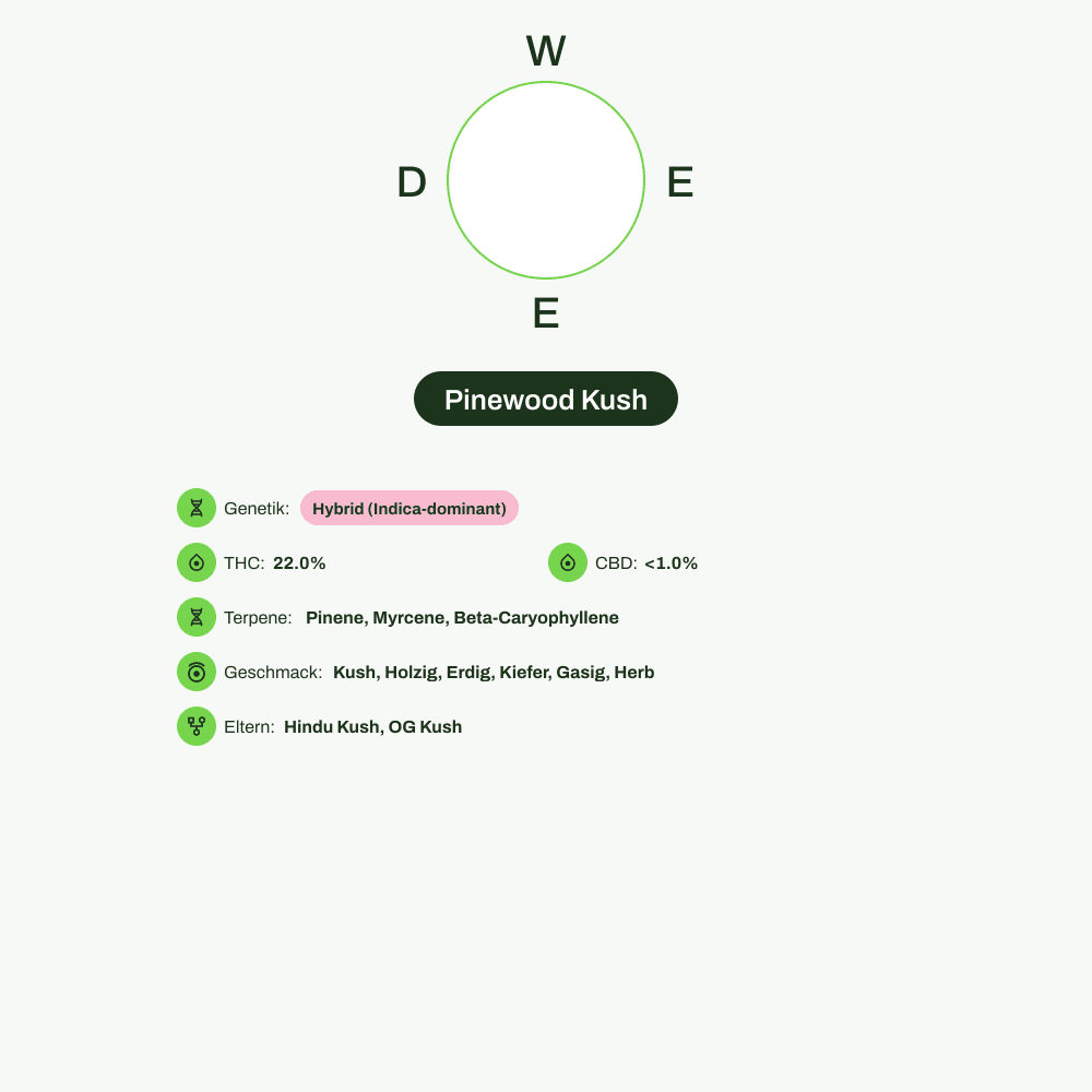 Infografik über THC-Gehalt, CBD-Gehalt, Terpene, Wirkungen, Geschmack von Pinewood Kush