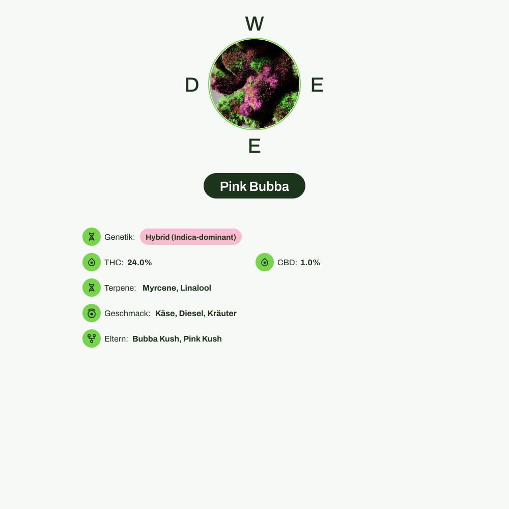 Infografik über THC-Gehalt, CBD-Gehalt, Terpene, Wirkungen, Geschmack von Pink Bubba