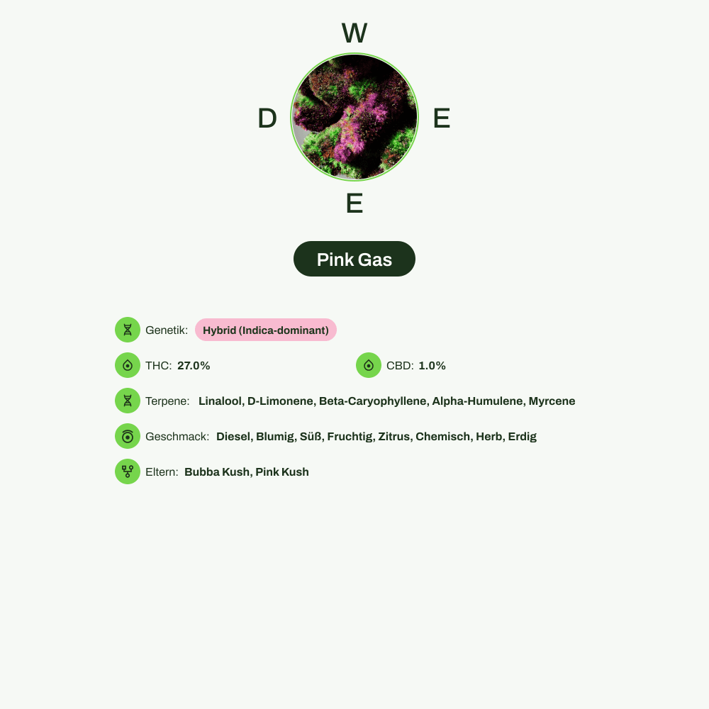 Infografik über THC-Gehalt, CBD-Gehalt, Terpene, Wirkungen, Geschmack von Pink Gas