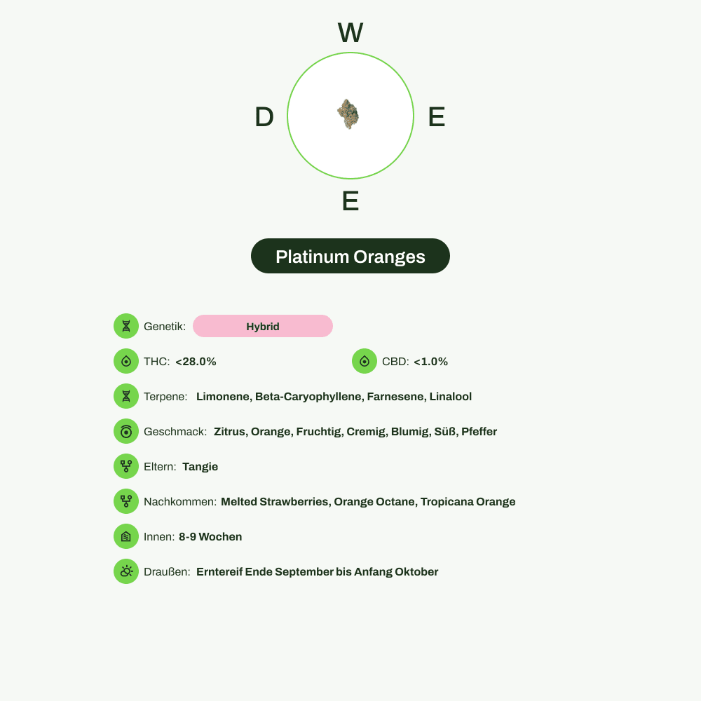 Infografik über THC-Gehalt, CBD-Gehalt, Terpene, Geschmack von Platinum Oranges