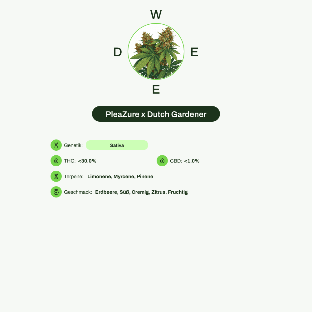 Infografik über THC-Gehalt, CBD-Gehalt, Terpene, Wirkungen, Geschmack von PleaZure x Dutch Gardener