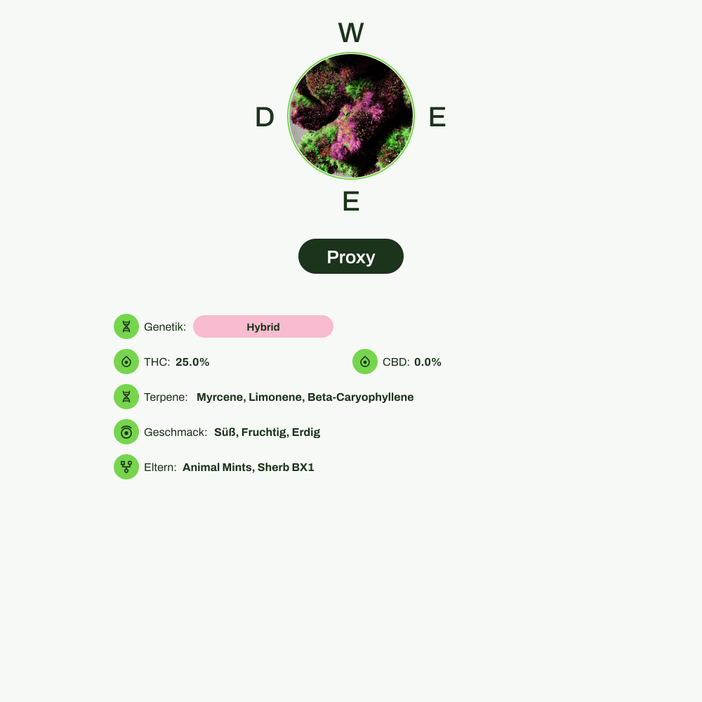 Infografik über THC-Gehalt, CBD-Gehalt, Terpene, Wirkungen, Geschmack von Proxy