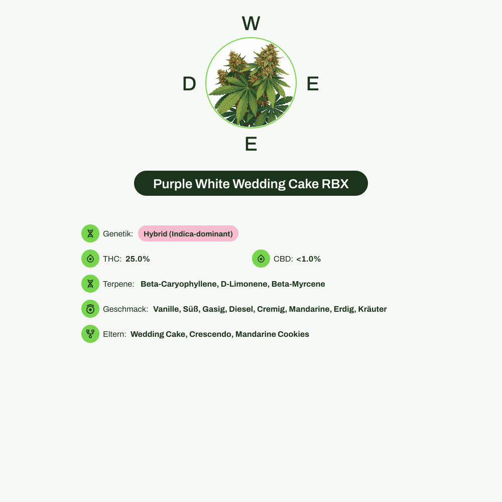 Infografik über THC-Gehalt, CBD-Gehalt, Terpene, Wirkungen, Geschmack von Purple White Wedding Cake RBX
