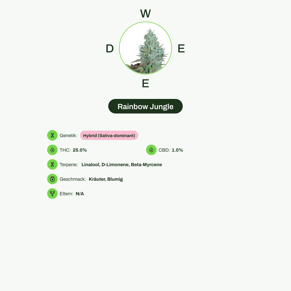 Infografik über THC-Gehalt, CBD-Gehalt, Terpene, Wirkungen, Geschmack von Rainbow Jungle