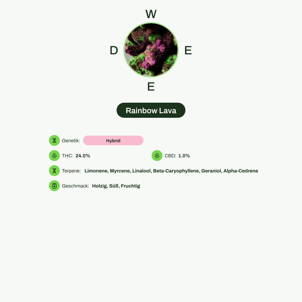 Infografik über THC-Gehalt, CBD-Gehalt, Terpene, Wirkungen, Geschmack von Rainbow Lava