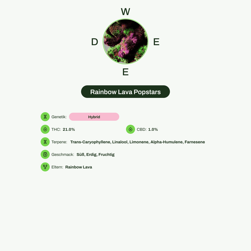 Infografik über THC-Gehalt, CBD-Gehalt, Terpene, Wirkungen, Geschmack von Rainbow Lava Popstars