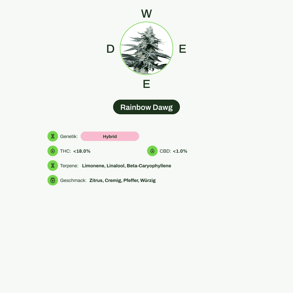 Infografik über THC-Gehalt, CBD-Gehalt, Terpene, Wirkungen, Geschmack von Rainbow Dawg