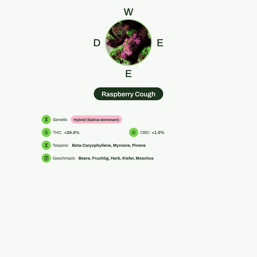 Infografik über THC-Gehalt, CBD-Gehalt, Terpene, Wirkungen, Geschmack von Raspberry Cough