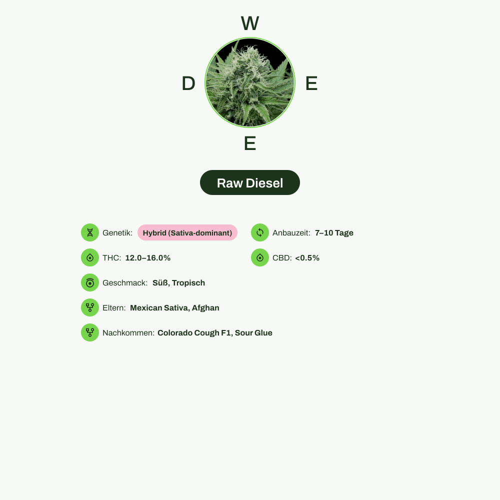 Infografik über THC-Gehalt, CBD-Gehalt, Wirkungen, Geschmack von Raw Diesel