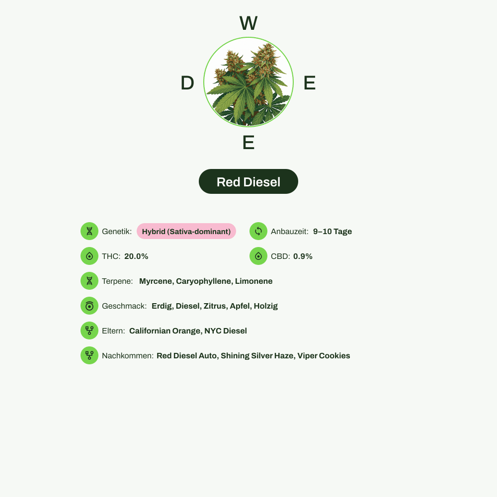 Infografik über THC-Gehalt, CBD-Gehalt, Terpene, Wirkungen, Geschmack von Red Diesel