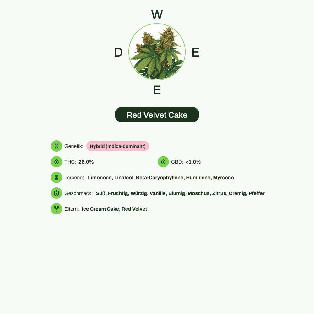 Infografik über THC-Gehalt, CBD-Gehalt, Terpene, Wirkungen, Geschmack von Red Velvet Cake