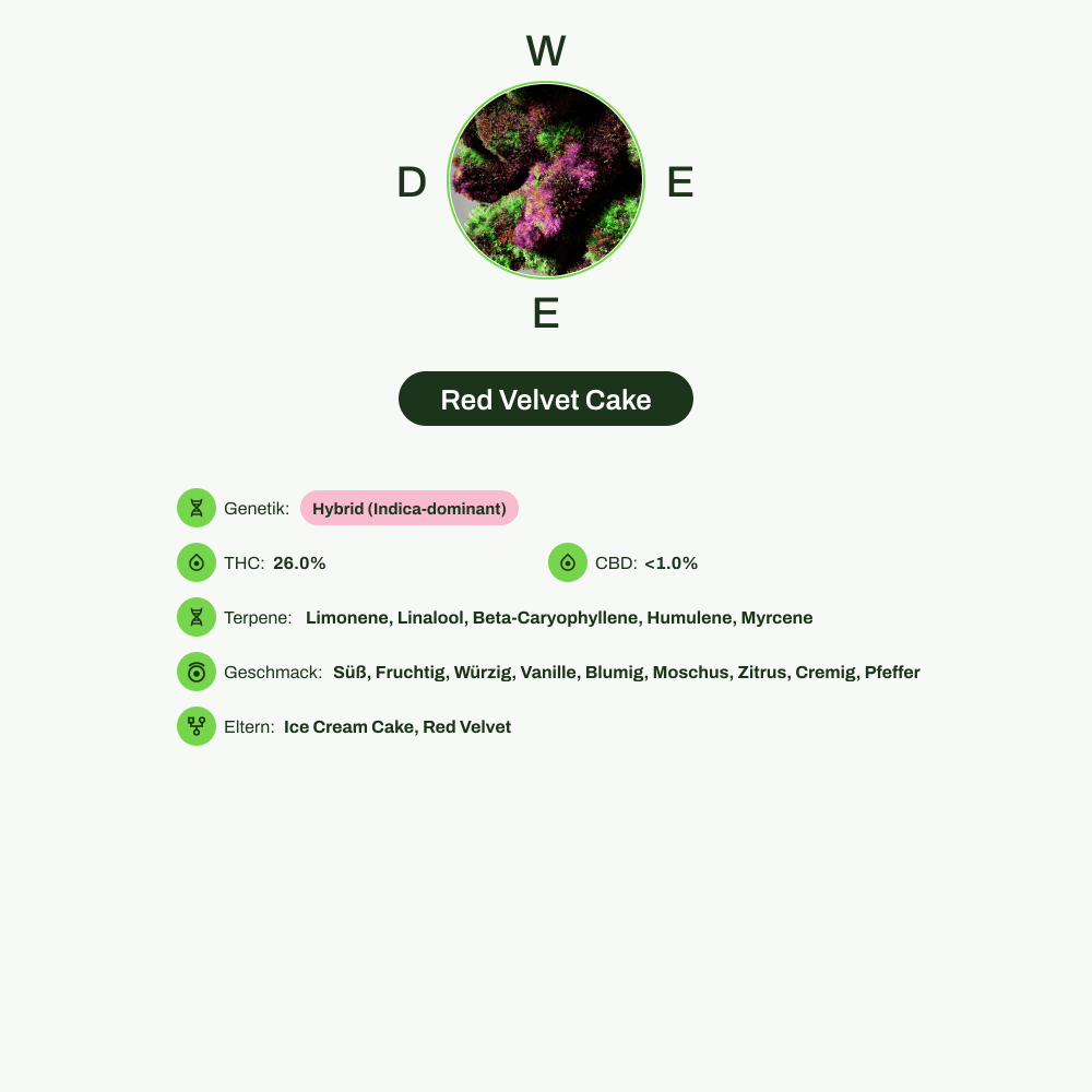 Infografik über THC-Gehalt, CBD-Gehalt, Terpene, Wirkungen, Geschmack von Red Velvet Cake