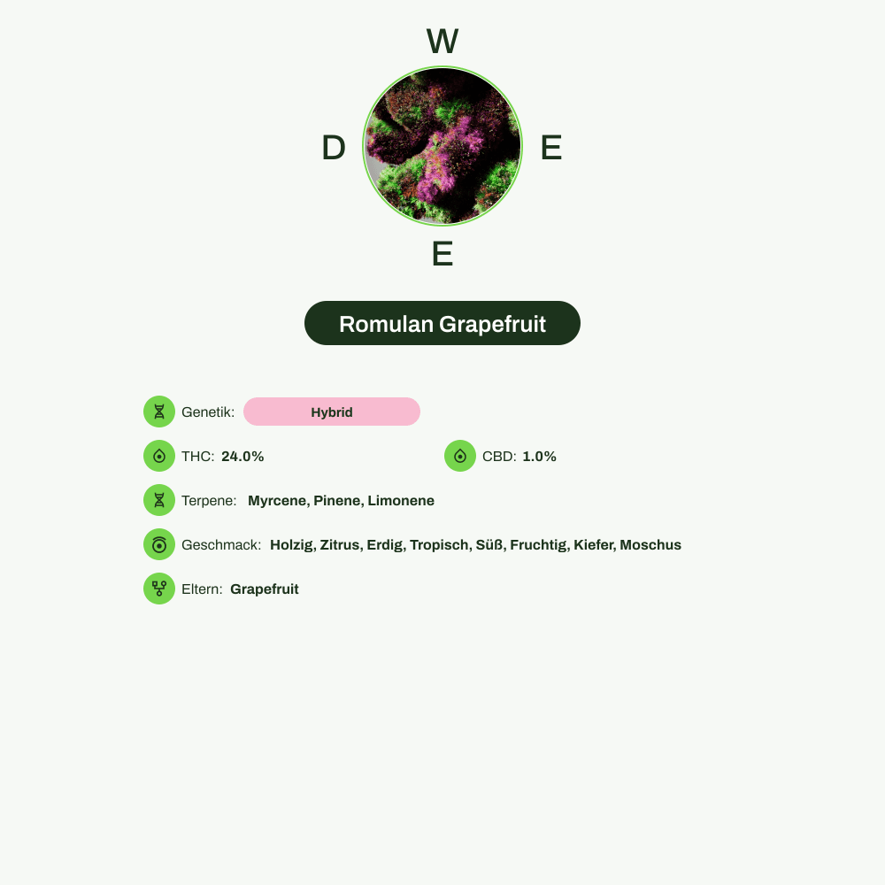 Infografik über THC-Gehalt, CBD-Gehalt, Terpene, Wirkungen, Geschmack von Romulan Grapefruit