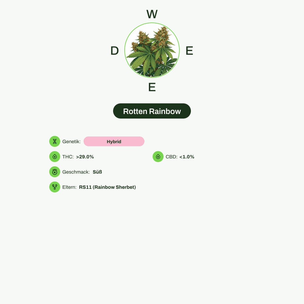 Infografik über THC-Gehalt, CBD-Gehalt, Wirkungen, Geschmack von Rotten Rainbow