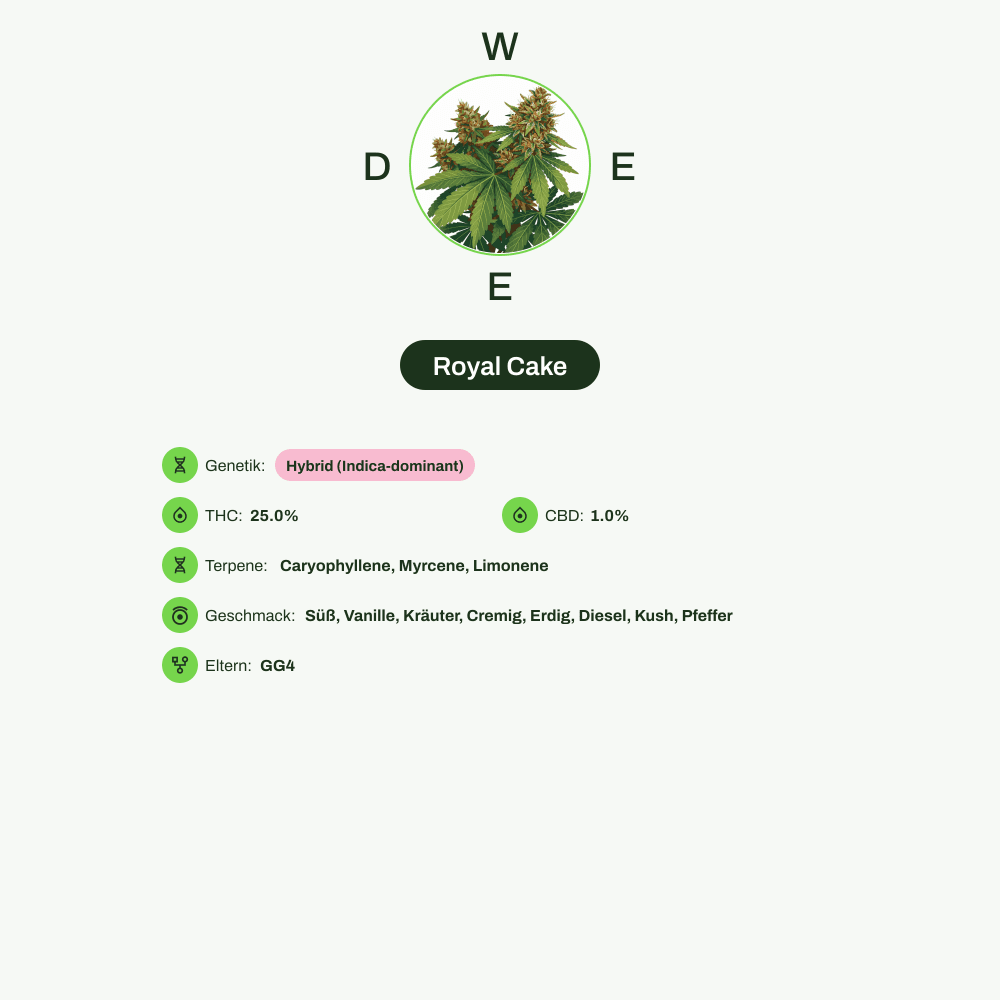 Infografik über THC-Gehalt, CBD-Gehalt, Terpene, Wirkungen, Geschmack von Royal Cake