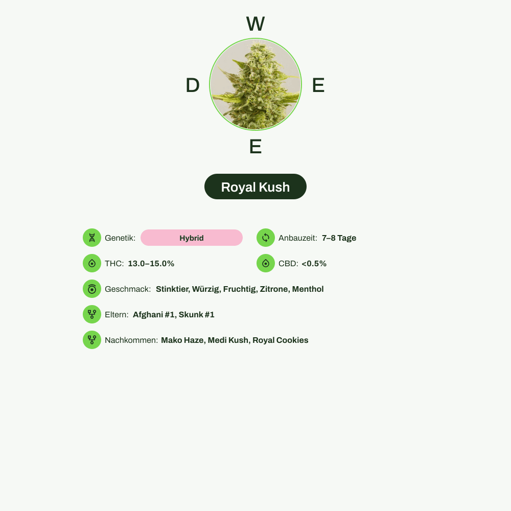 Infografik über THC-Gehalt, CBD-Gehalt, Wirkungen, Geschmack von Royal Kush