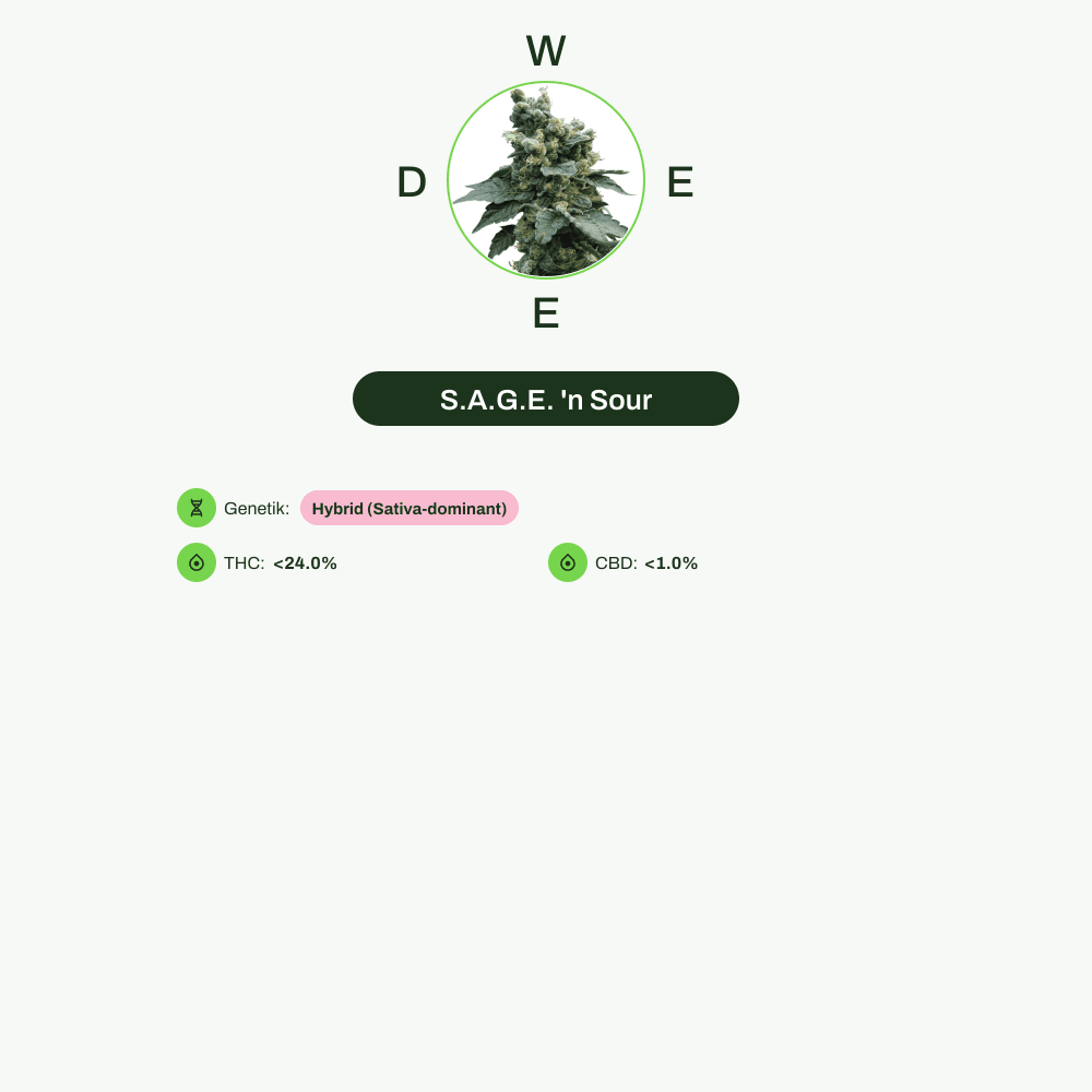 Infografik über THC-Gehalt, CBD-Gehalt von S.A.G.E. 'n Sour