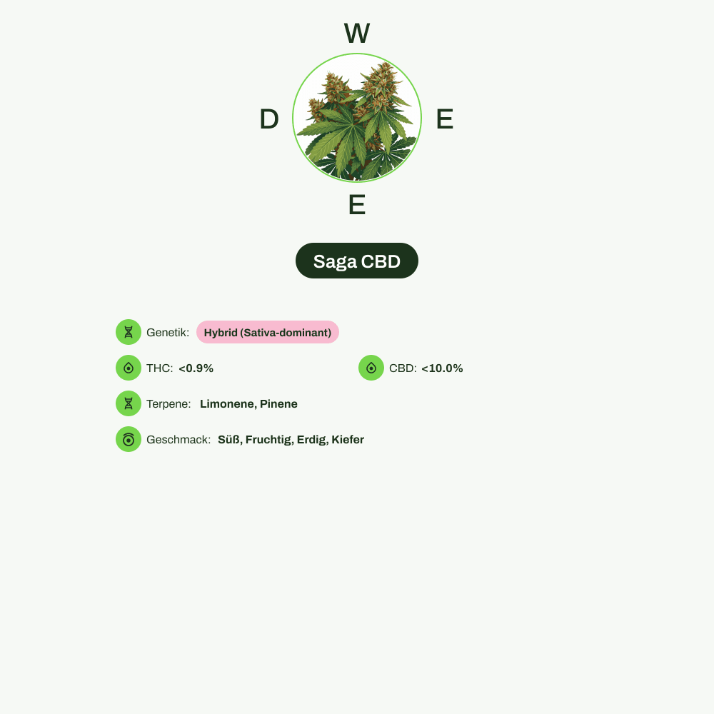 Infografik über THC-Gehalt, CBD-Gehalt, Terpene, Wirkungen, Geschmack von Saga CBD