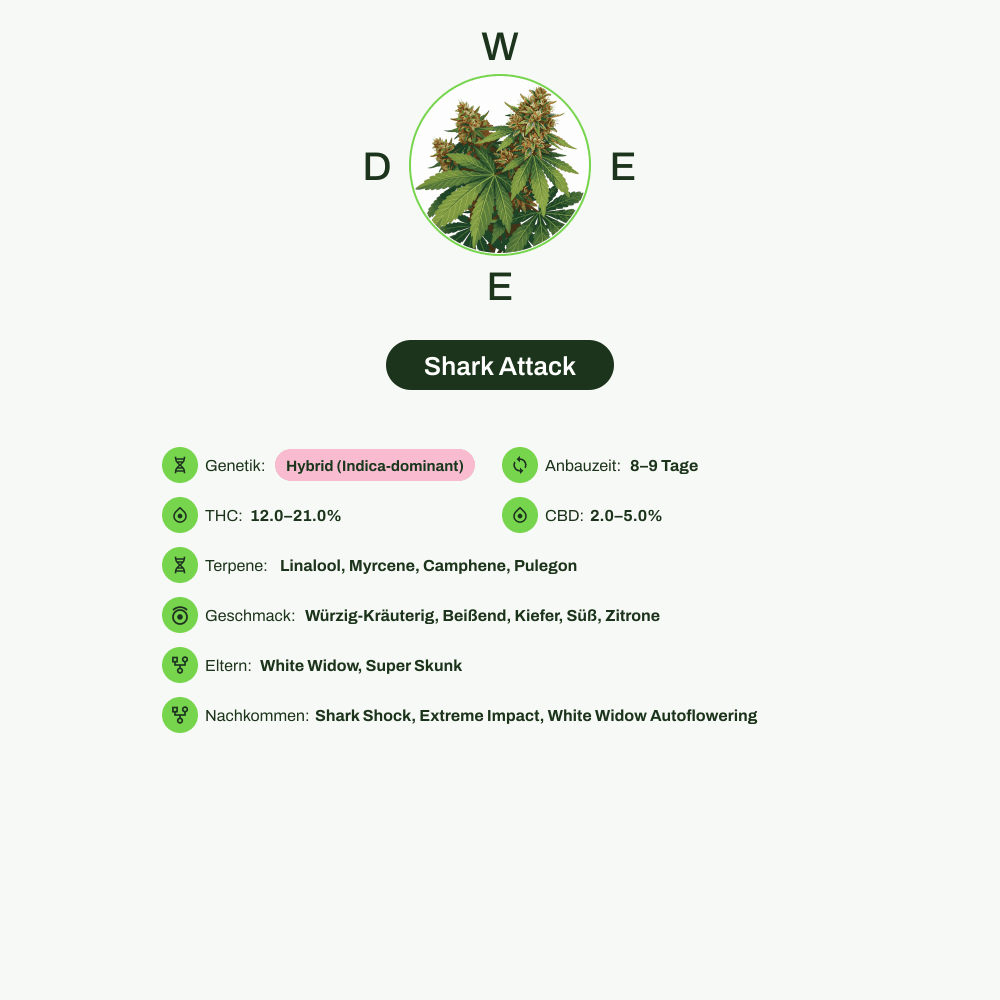 Infografik über THC-Gehalt, CBD-Gehalt, Terpene, Wirkungen, Geschmack von Shark Attack