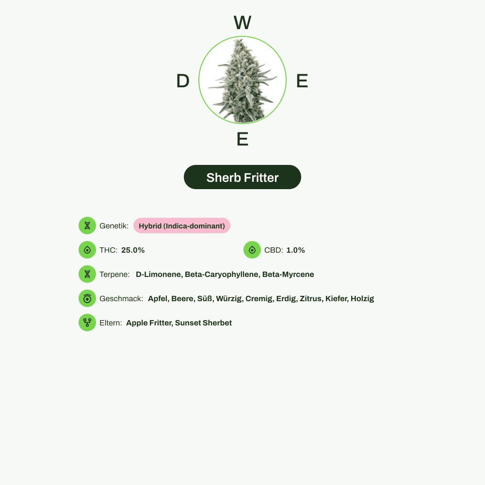 Infografik über THC-Gehalt, CBD-Gehalt, Terpene, Wirkungen, Geschmack von Sherb Fritter