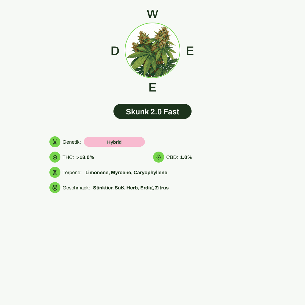 Infografik über THC-Gehalt, CBD-Gehalt, Terpene, Wirkungen, Geschmack von Skunk 2.0 Fast