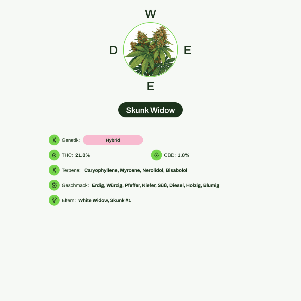 Infografik über THC-Gehalt, CBD-Gehalt, Terpene, Wirkungen, Geschmack von Skunk Widow