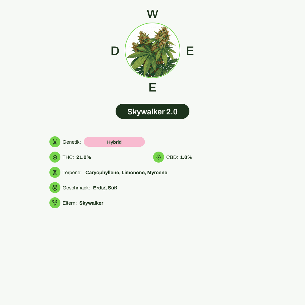 Infografik über THC-Gehalt, CBD-Gehalt, Terpene, Wirkungen, Geschmack von Skywalker 2.0