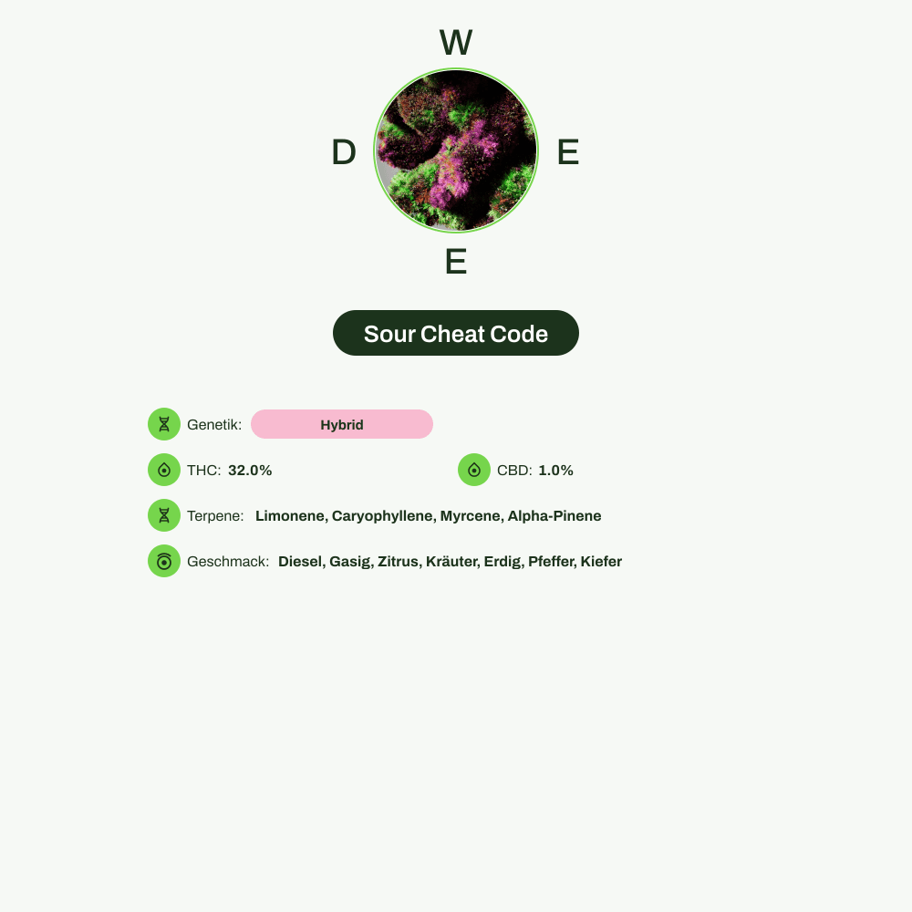 Infografik über THC-Gehalt, CBD-Gehalt, Terpene, Wirkungen, Geschmack von Sour Cheat Code