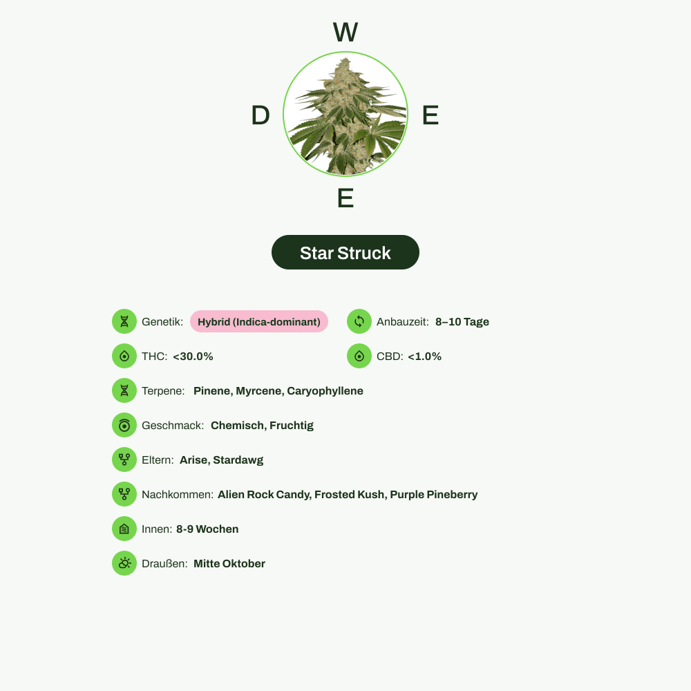 Infografik über THC-Gehalt, CBD-Gehalt, Terpene, Wirkungen, Geschmack von Star Struck