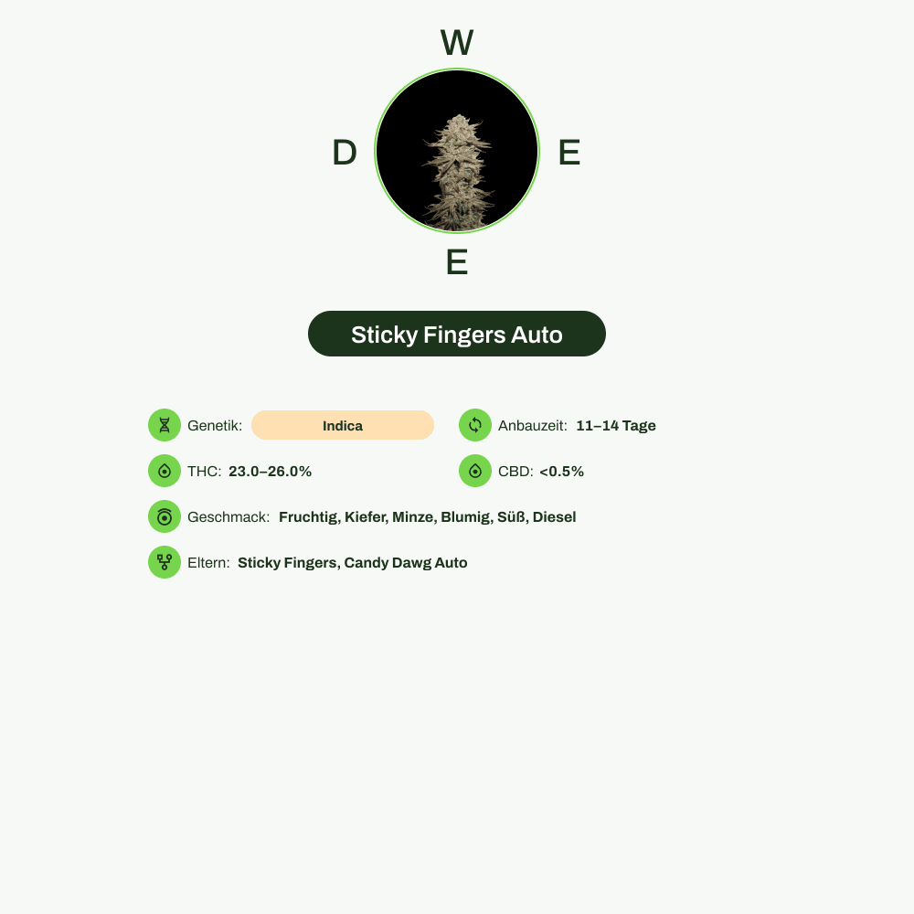 Infografik über THC-Gehalt, CBD-Gehalt, Wirkungen, Geschmack von Sticky Fingers Auto