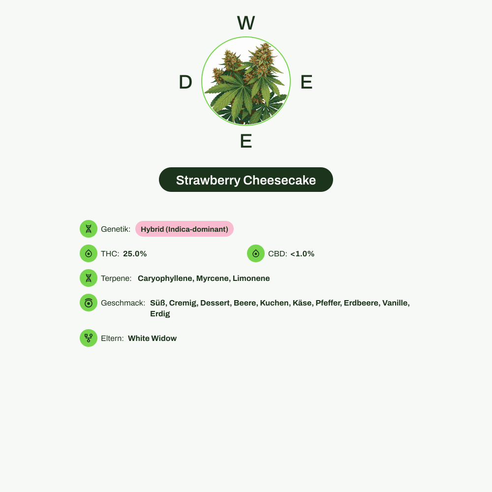 Infografik über THC-Gehalt, CBD-Gehalt, Terpene, Wirkungen, Geschmack von Strawberry Cheesecake