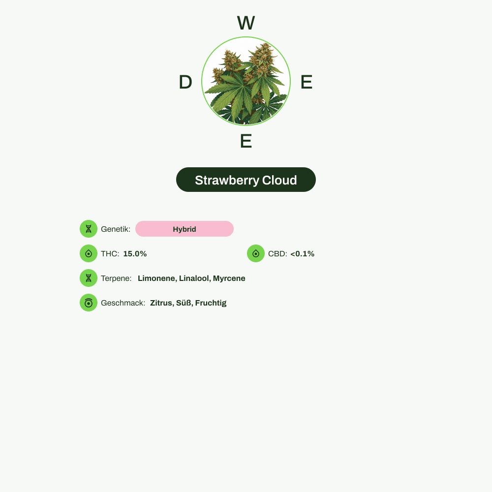 Infografik über THC-Gehalt, CBD-Gehalt, Terpene, Wirkungen, Geschmack von Strawberry Cloud