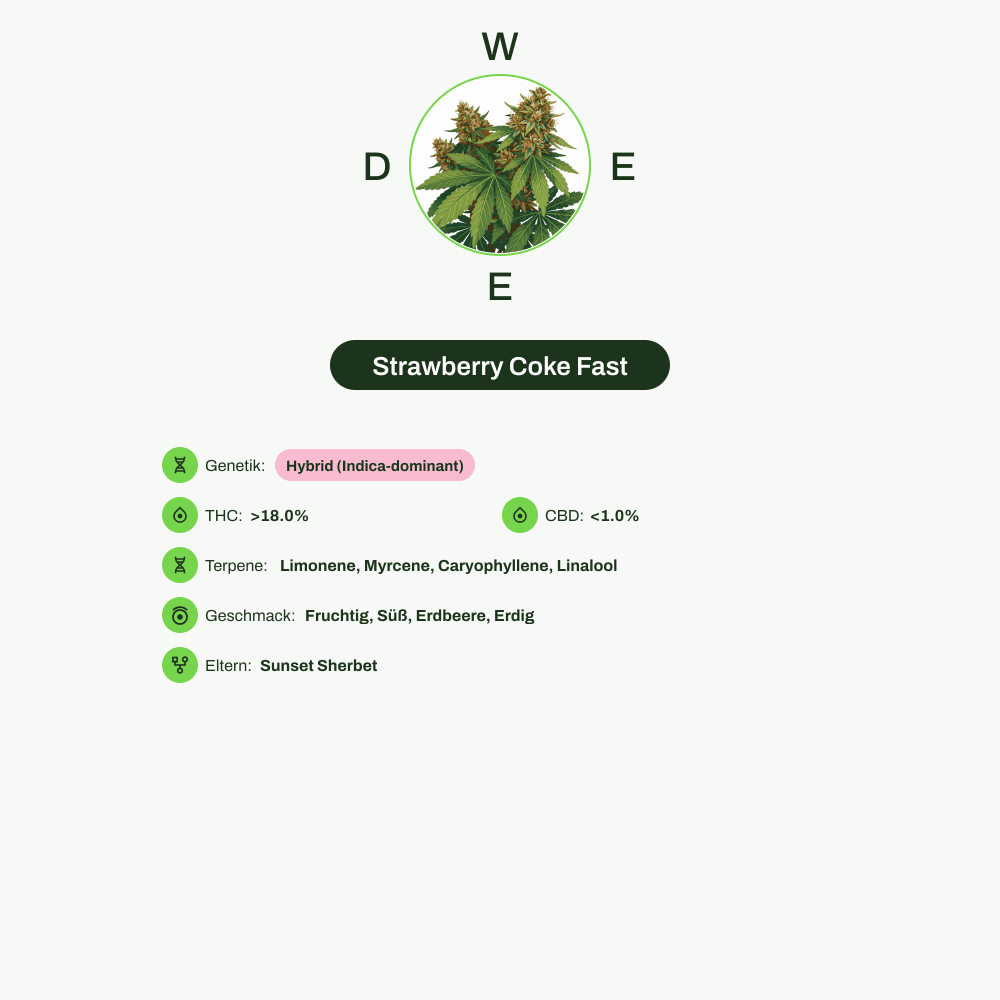 Infografik über THC-Gehalt, CBD-Gehalt, Terpene, Wirkungen, Geschmack von Strawberry Coke Fast