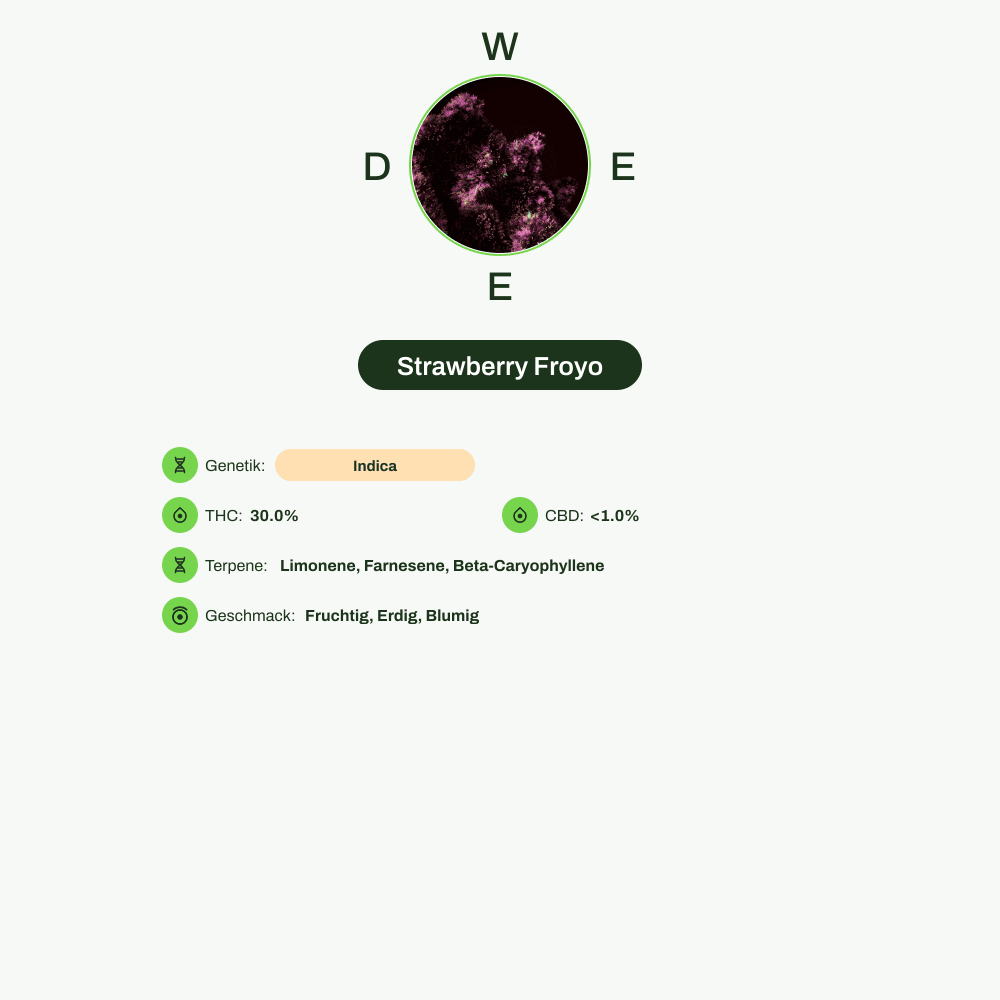 Infografik über THC-Gehalt, CBD-Gehalt, Terpene, Wirkungen, Geschmack von Strawberry Froyo