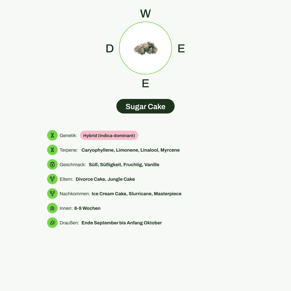 Infografik über THC-Gehalt, CBD-Gehalt, Terpene, Wirkungen, Geschmack von Sugar Cake