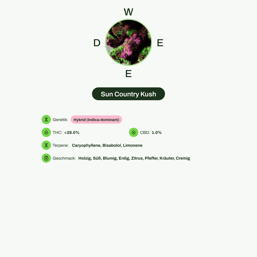 Infografik über THC-Gehalt, CBD-Gehalt, Terpene, Wirkungen, Geschmack von Sun Country Kush