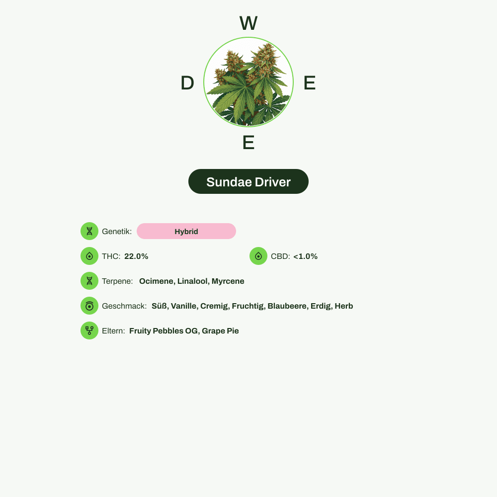 Infografik über THC-Gehalt, CBD-Gehalt, Terpene, Wirkungen, Geschmack von Sundae Driver