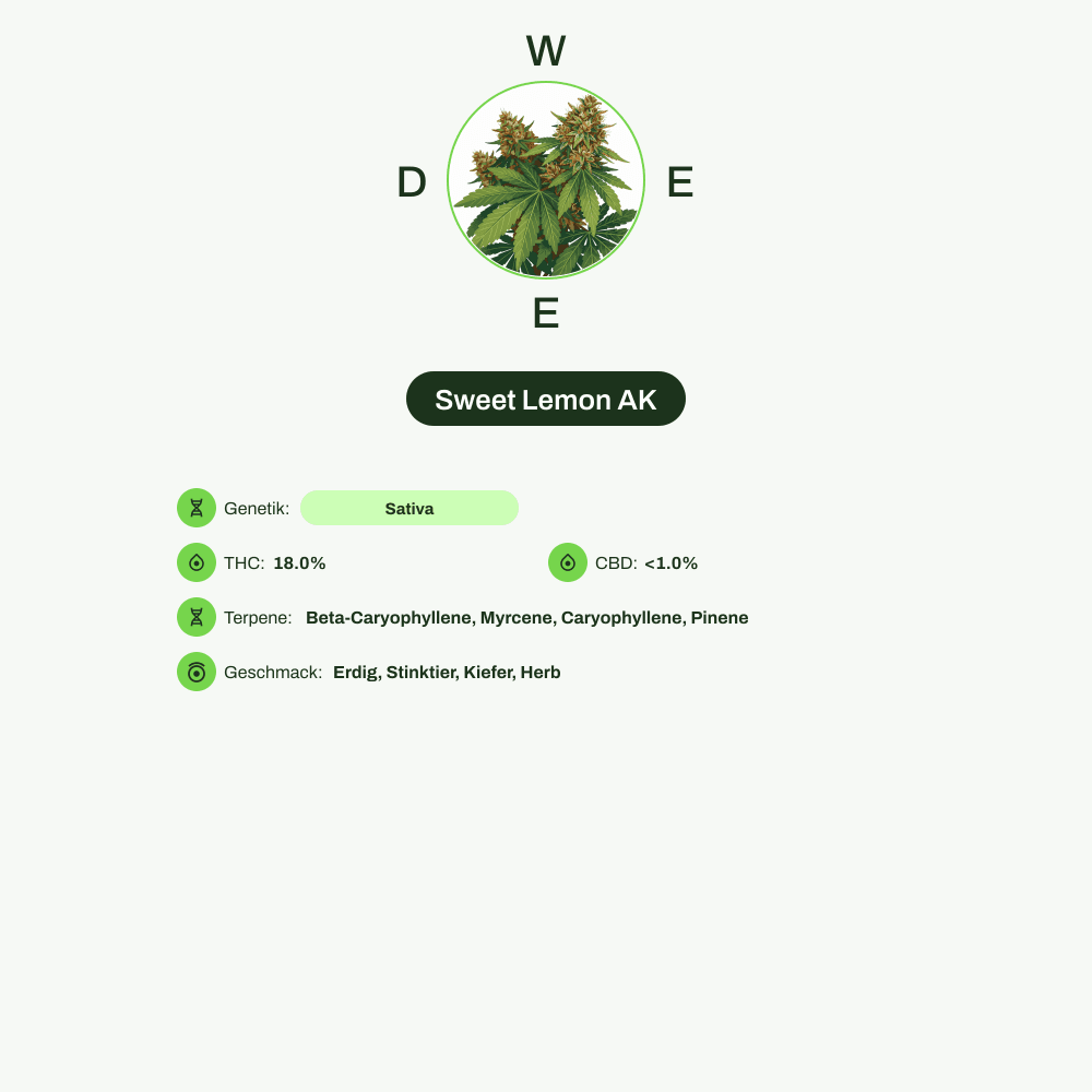 Infografik über THC-Gehalt, CBD-Gehalt, Terpene, Wirkungen, Geschmack von Sweet Lemon AK