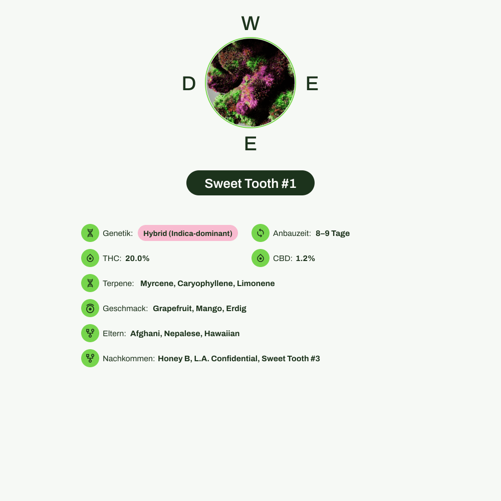 Infografik über THC-Gehalt, CBD-Gehalt, Terpene, Wirkungen, Geschmack von Sweet Tooth #1