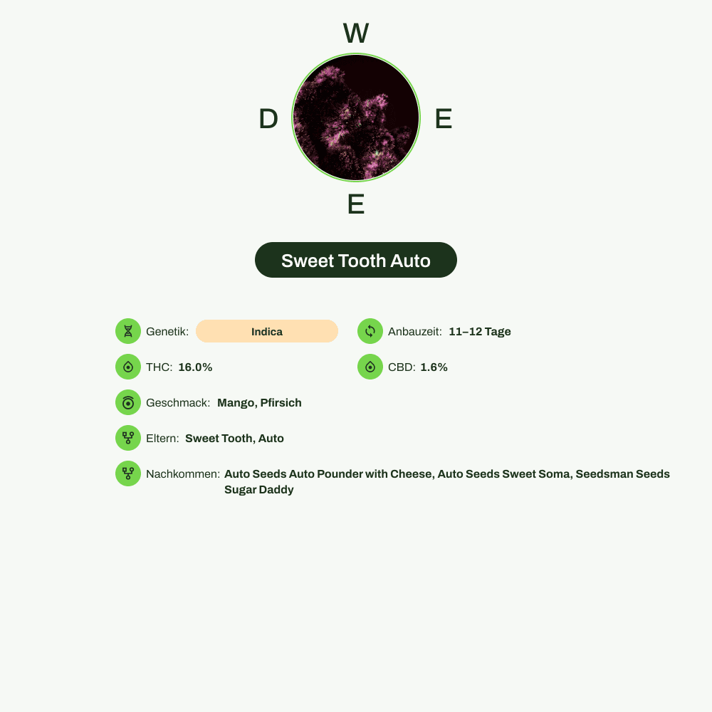 Infografik über THC-Gehalt, CBD-Gehalt, Terpene, Wirkungen, Geschmack von Sweet Tooth Auto