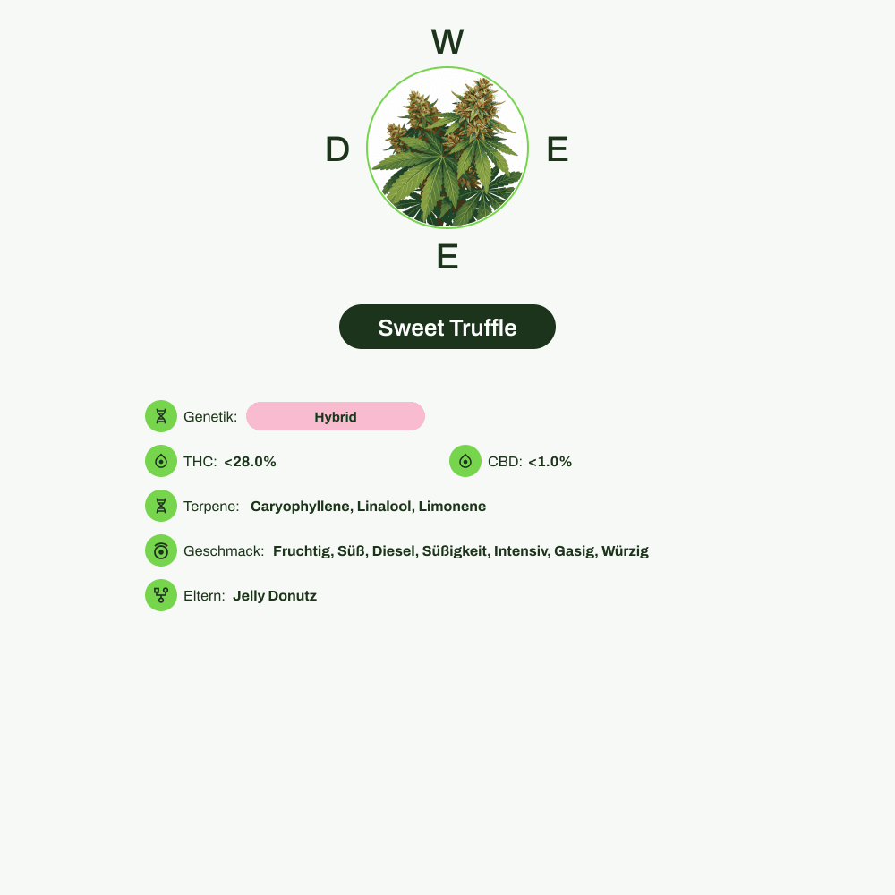 Infografik über THC-Gehalt, CBD-Gehalt, Terpene, Wirkungen, Geschmack von Sweet Truffle