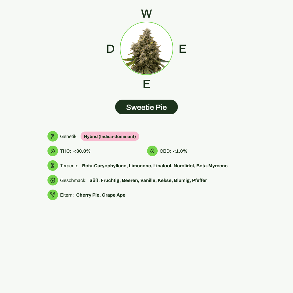 Infografik über THC-Gehalt, CBD-Gehalt, Terpene, Wirkungen, Geschmack von Sweetie Pie